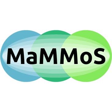 Run a complete MaMMoS workflow
